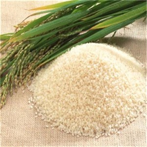 Proteína de arroz 90%