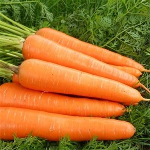 Beta caroteno 10% CWS Beadlet soluble en auga fría